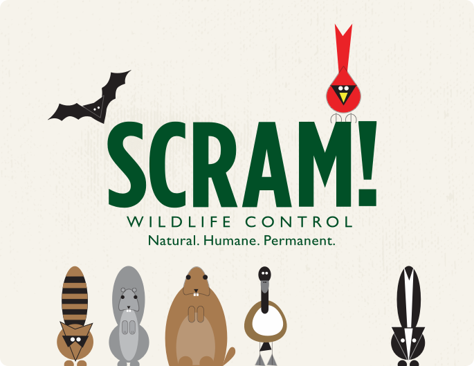 SCRAM! Services | Humane Animal Control Services | Ohio Wildlife Center